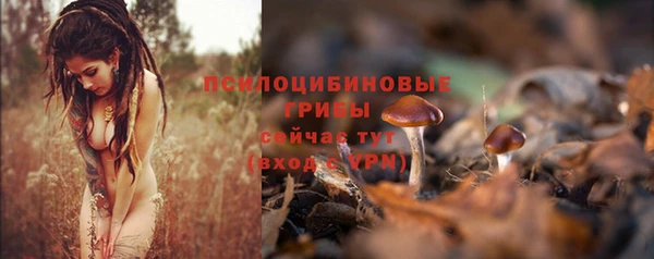 spice Армянск