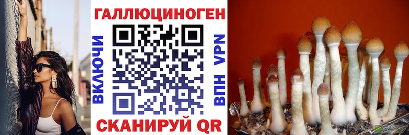Купить  Усолье-Сибирское  Псилоцибиновые грибы GOLDEN TEACHER 
